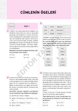 www editoryayinevi net