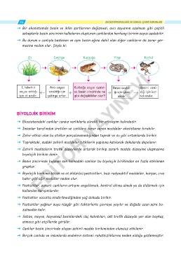 www editoryayinevi net