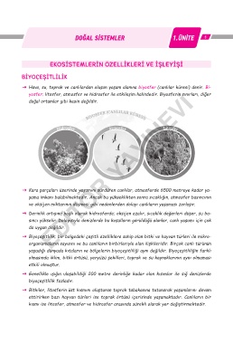 litosfer hidrosfer atmosfer biyosfer