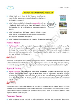 www editoryayinevi net